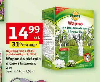 Auchan Wapno do bielenia drzew Planta oferta