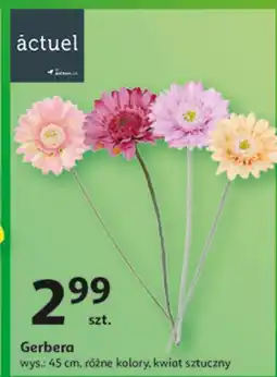 Auchan Sztuczny kwiat Actuel oferta