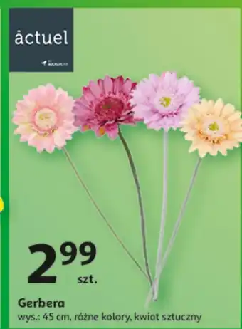 Auchan Sztuczny kwiat Actuel oferta