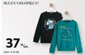 Auchan Bluza chłopięca oferta