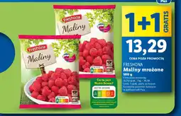 Lidl Freshona maliny mrożone oferta