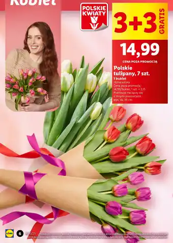 Lidl Polskie tulipany oferta