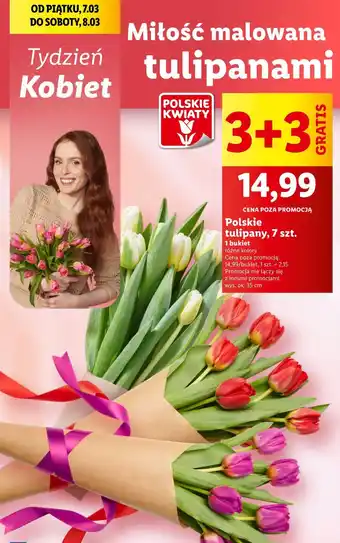 Lidl Tulipany 7 szt oferta