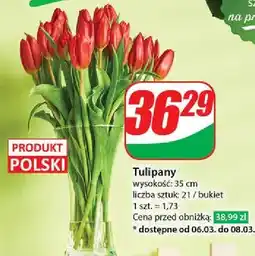 Dino Tulipany 35 cm oferta