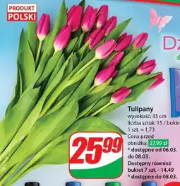 Dino Tulipany bukiet oferta