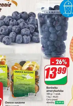 Dino Borówki amerykańskie oferta