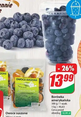 Dino Borówki amerykańskie oferta