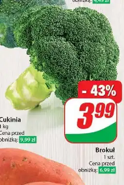 Dino Brokuł oferta