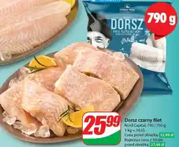 Dino Dorsz czarny Family Fish oferta