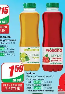 Dino Nektar czerwona porzeczka Wosana oferta