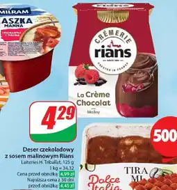 Dino Deser czekoladowy z maliną Rians oferta