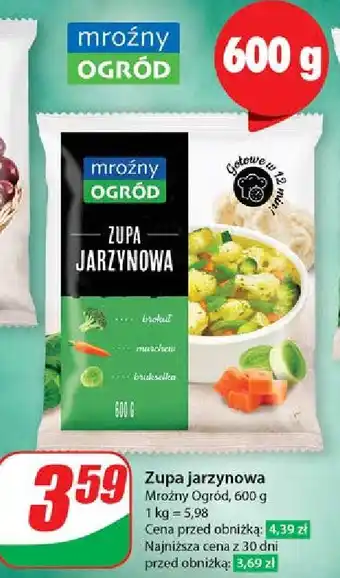 Dino Zupa jarzynowa Mroźny Ogród oferta