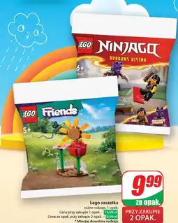 Dino Saszetka 30659 Lego Friends oferta