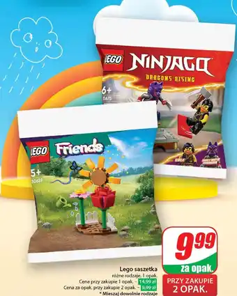 Dino Saszetka 30659 Lego Friends oferta