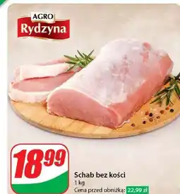 Dino Schab bez kości Agro Rydzyna oferta