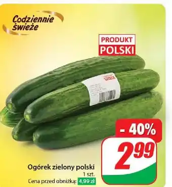 Dino Ogórek polska oferta