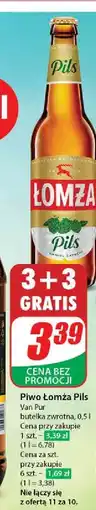 Dino Piwo Łomża Pils oferta