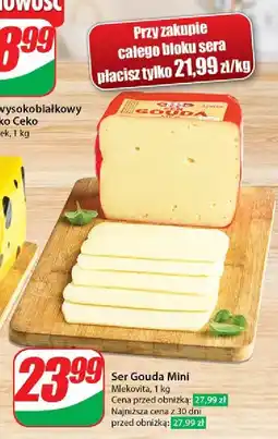 Dino Ser gouda mini Mlekovita oferta