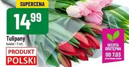 Polomarket Tulipany oferta