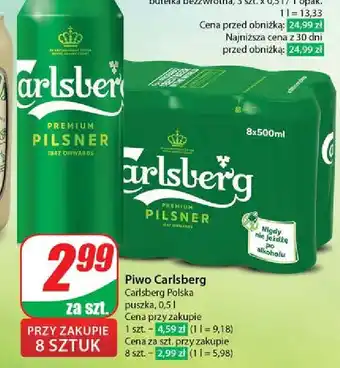 Dino Piwo Carlsberg Export Premium Pilsner oferta