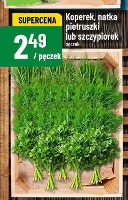 Polomarket Natka pietruszki oferta