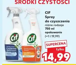 Kaufland Spray do czyszczenia Cif oferta