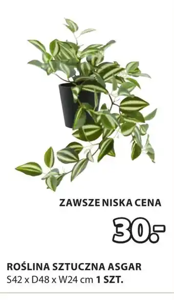 JYSK Sztuczna roślina oferta