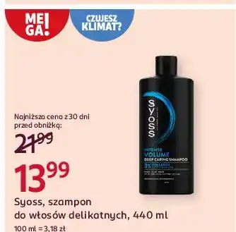 Rossmann Szampon do włosów delikatnych Syoss Intense Volume oferta