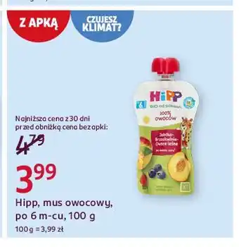 Rossmann Mus jabłka-brzoskwinie-owoce leśne Hipp Bio oferta