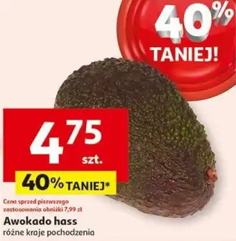 Auchan Awokado hass oferta