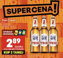 Delikatesy Centrum Piwo Żywiec oferta