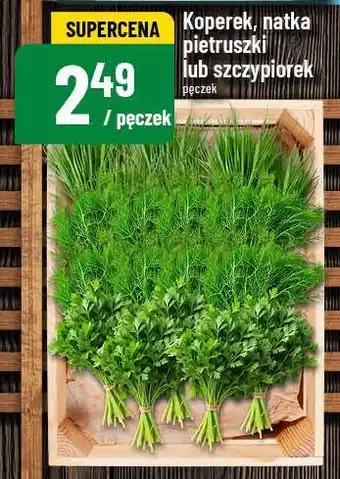 Polomarket Koperek, natka pietruszki lub szczypiorek oferta