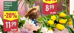 ALDI GARDENLINE Tulipany oferta