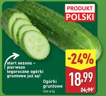 ALDI Ogórki gruntowe oferta