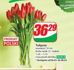 Dino Bukiet kwiatów Tulipany oferta