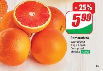 Dino Pomarańcza oferta