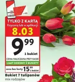 Intermarche Bukiet 7 tulipanów oferta