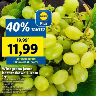 Lidl Winogrona Plus-Plus oferta