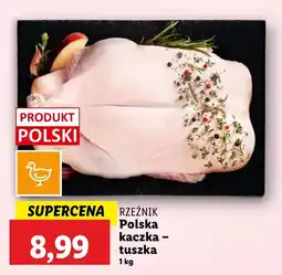 Lidl Kaczka Rzeźnik oferta