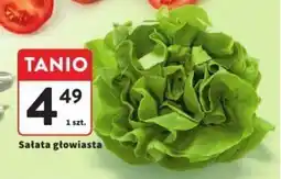 Intermarche Sałata głowiasta oferta