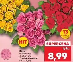 Kaufland Róże 13 sztuk oferta