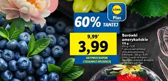 Lidl Borówka amerykańska oferta