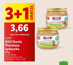 Lidl Pierwsze jabłko Hipp oferta