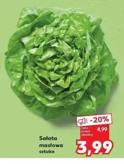 Kaufland Sałata masłowa oferta