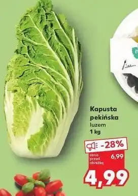 Kaufland Kapusta pekińska oferta