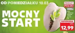 Kaufland Pierś kurczaka ze skórą i kością oferta