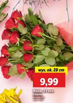 Lidl Róże 28 cm oferta