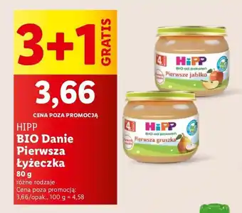 Lidl Pierwsza gruszka Hipp oferta