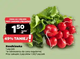 Netto Rzodkiewka oferta