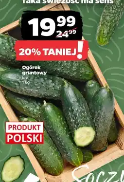 Netto Ogórek gruntowy polska oferta